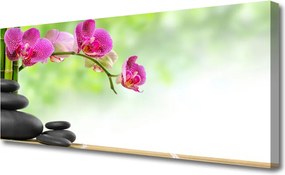 Obraz canvas Harmonijny Bambus w Spa