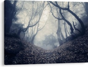 Obraz- Las we mgle (70x50 cm)