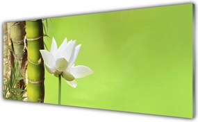 Panel nad blat kuchenny Orientalny Pęd Bambusa