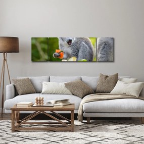 Obraz lemura (170x50 cm)