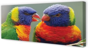 Fotoobraz na płótnie Feeria Barw: Papugi