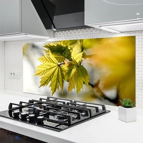 Panel Kuchenny Świeże Liście W Przybliżeniu