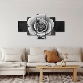 Obraz róży (125x70 cm)