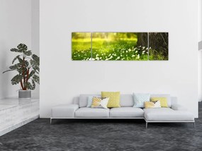 Obraz polany i kwiatów (170x50 cm)