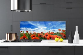 Panel Szklany Czerwone Maki w Blasku Słońca