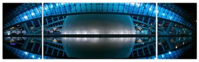 Obraz stadionu piłkarskiego (170x50 cm)