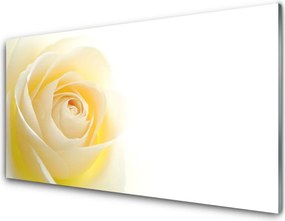 Panel Szklany do Kuchni Szlachetna Róża w Pełni