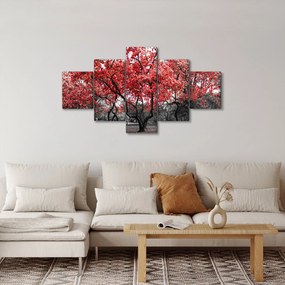 Obraz - Czerwone drzewa, Central Park, New York (125x70 cm)