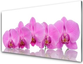 Panel Szklany do Kuchni Różowa Orchidea w Zbliżeniu