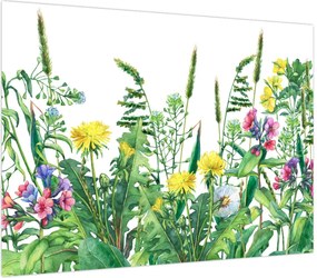 Obraz - Malowane kwiaty łąkowe (70x50 cm)