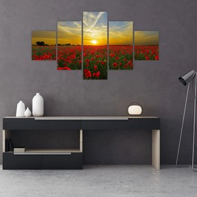 Obraz pola maków (125x70 cm)