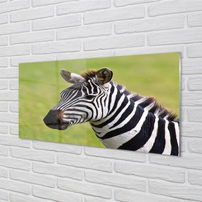 Szklany Panel Zebra