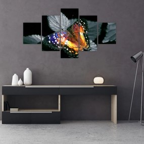 Obraz motyla (125x70 cm)