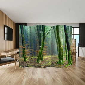 Parawan - Las (210x170 cm)