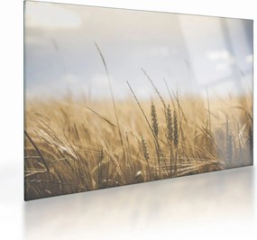 Obraz na szkle ziarna (70x50 cm)