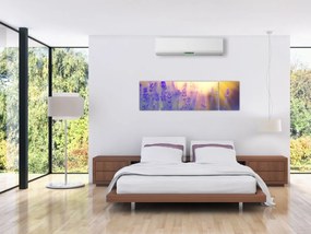 Obraz - Lawenda (170x50 cm)