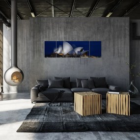 Obraz Sydney w nocy (170x50 cm)