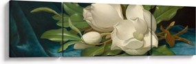 Obraz - Martin Johnson Heade, Giant Magnolias on a Blue Velvet Cloth, reprodukcje (170x50 cm)