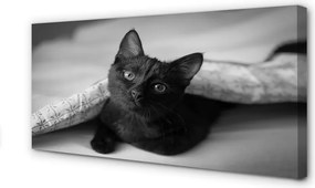 Obraz na płótnie Przytulny Kot pod Kołdrą