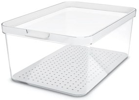 Plastikowy organizer do lodówki Cauma – Rotho