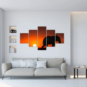 Obraz słonia o zachodzie słońca (125x70 cm)