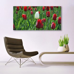 Obraz Canvas Tulipany Kwiaty Natura