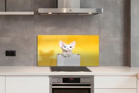 Panel szklany do Kuchni Kot w Oczekiwaniu