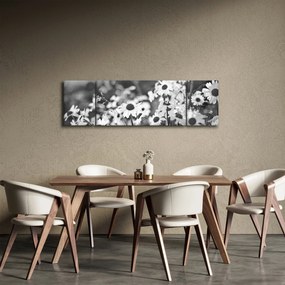 Obraz - Stokrotki (170x50 cm)