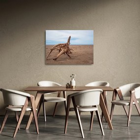 Obraz na szkle - Zmyte przez morze (70x50 cm)