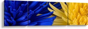 Obraz - szczegóły kwiatów (170x50 cm)