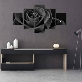 Obraz - Czerwona róża (125x70 cm)