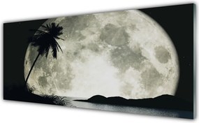 Panel Kuchenny Tropikalna Noc Pod Księżycem