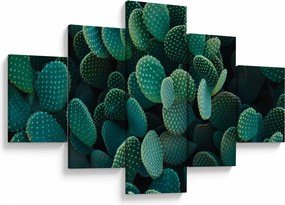 Obraz - Opuncja (125x70 cm)
