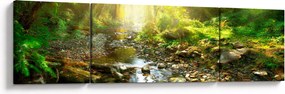 Obraz rzeki w zielonym lesie (170x50 cm)