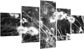 Obraz - Pajęczyna na łące (125x70 cm)