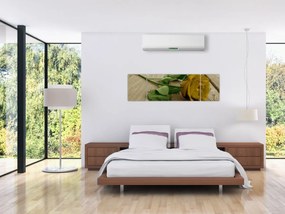 Obraz - Żółte róże w stylu vintage (170x50 cm)