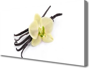 Obraz canvas Subtelny Rozkwit Natury