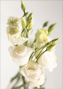 Plakat Elegant Flowers