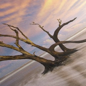 Obraz drzewa w oceanie (125x70 cm)