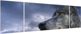 Obraz - Głowa wilka (170x50 cm)