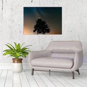 Obraz nocnego nieba z drzewami (70x50 cm)