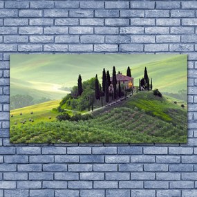 Zdjęcie na płótnie Sielska Łąka z Drzewami