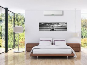 Obraz - Samolot czarno-biały (170x50 cm)