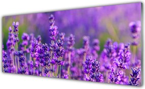 Panel Szklany Prowansalskie Pole Lawendy