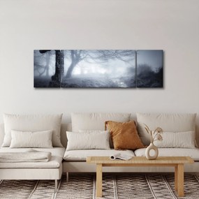 Obraz- Droga we mgle (170x50 cm)