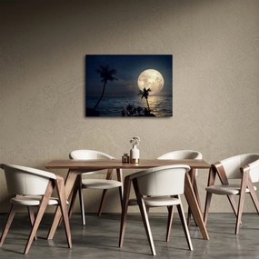 Obraz - Plaża pod pełnią księżyca (70x50 cm)
