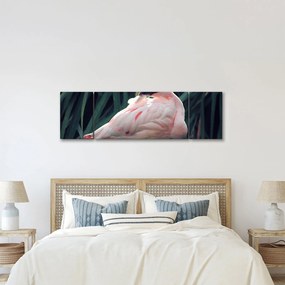 Obraz - Flaming (170x50 cm)