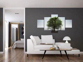 Obraz - Samotne drzewo (125x70 cm)