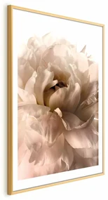Plakat Miękkie płatki 60x90 cm z ramą złotą z marginesem ARTGEIST B