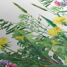 Obraz - Malowane kwiaty łąkowe (170x50 cm)